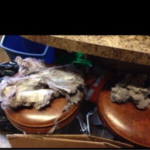 Dryer Lint Galore dryerventcleaning